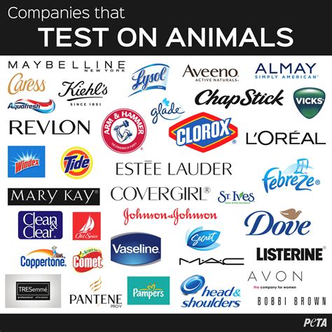 animal testing cosmetics brands.